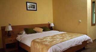 Гостиница Альпика Дубовое Стандартный двухместный номер с 1 кроватью-2